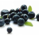 마키베리(Maqui berry)= 칠레 와인베리 이미지