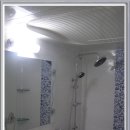 한라동백@ 이미지