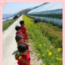 효동농장 이미지