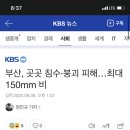 장미통닭