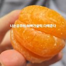 에임제이 | 大器晚成
