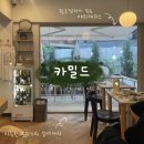 🏷️ 대흥역 맛집 l 카밀드_핑크장미 가득한 테라스에서 즐기는 화덕피자 l 내돈내산 후기