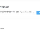 태국 치앙마이 엘리핀팜카페/반캉왓/ Cypress Lanes 내돈내산 나홀로 조인투어 후기