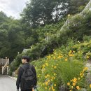 담양 감성 숙소 추천 🏡 까망감스테이 숙박 후기 part1 (객실 리뷰)