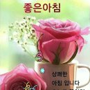 배우 송 혜교ㅡ2016년 4월 ㅡ일본 미쓰비시 자동차에서ㅡ중국 광고제안들어오게됩니다ㅡ그러나 송혜교는 ㅡ단칼에 거절하였는데ㅡ 이미지