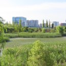 서울식물원 이미지