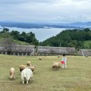 지라은목장 이미지