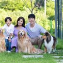 펫나라 이미지