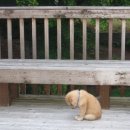 이쁘지요 이미지