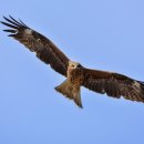 박사행정사사무소 이미지