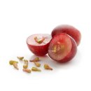 씨앗피트니스 이미지