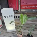 빨강문 | [부산대타로잘보는곳]&[장전동사주손금]유목민이 정착한 빨강망또 리얼후기