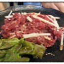 꼴통돼지 이미지