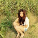 부시시 이미지