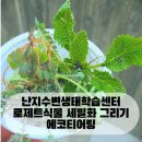 에코식물 생태도감 이미지