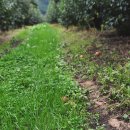 장수한우유전자뱅크 이미지