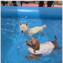 시화유치원 이미지