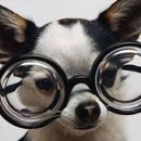 원시로2 이미지