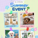 온니애견미용 | 동래 수안동 연산동 반려견미용후기, 온니애견미용 6월 포토리뷰&amp;이벤트