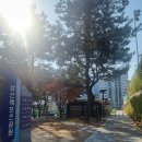 남산풋살경기장(주말) 이미지