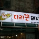 다리꼰돼지
