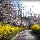 우장산근린공원 이미지
