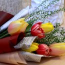 서래복지용구 이미지