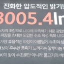 위더스 펫 이미지