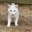 영대동물병원 이미지