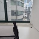 대전실사서비스