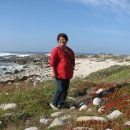 마리나비치 이미지