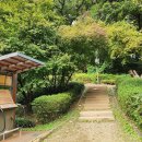 우면생태놀이터 이미지