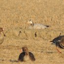 주남초등학교 이미지