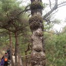 창천초교 이미지