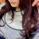 레비브레헤어 | 가정역 미용실 추천 디어유어 레드브라운 염색 후기 첫방문 50% 할인까지