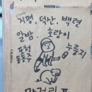 도담 1988 이미지