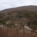 들국화목장 이미지