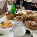 닥터코리아여행사 | 코리아투어 신혼여행 패키지 : 발리 10박 11일 가격대, 혜택, 찐후기 (+프로모션 추천코드)