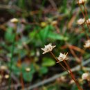 곡정초등학교 이미지