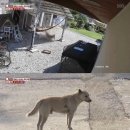 무리개농장 이미지