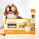 서울플러스 종합 동물병원 | 노견 보호자의 하루, 동물병원 4군데 다닌 썰｜24시 데이원동물의료센터·24시 온숲동물의료센터 후기