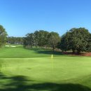 마스터스 골프클럽 이미지