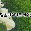 5월 20일(월) 한 사람을 사역자로 세우는 기쁨 이미지