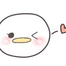 박가네 설렁탕 이미지