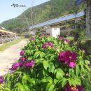 이종섭 농장 이미지