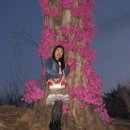 부천종합운동장 이미지