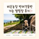 큰마을농장 | [포항] 비손농장 숲속 데크마을 2번 후기｜강아지와 함께 다녀온 바다 앞 캠핑장