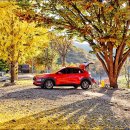 동막골 쉼 이미지