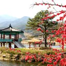 죽동체육공원 이미지