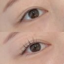 글로우뷰티샵 | 분당속눈썹 추천 햇살 가득한 통창 뷰 글로우헤나뷰티 속눈썹펌 후기